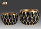Os potenciômetros de flor geométricos decorativos da fibra de vidro do teste padrão com ouro folhearam revestimento