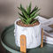 Plantadores do potenciômetro do cimento de Mini Succulents Planters Tabletop Pots Clay Flower Pots Marble Flowerpots