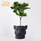 Escritório 44.5x42x37.5cm Clay Pots For Plants decorativo