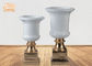 Dois vasos brancos lustrosos da tabela da peça central da fibra de vidro dos tamanhos com base do suporte do ouro