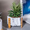 Vasos decorativos da tabela do cimento dos potenciômetros da planta das plantas carnudas dos artigos de Homewares dos potenciômetros de flor do cacto da cor verde