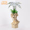 Tempo 35x35x57.4cm resistentes Clay Flower Pots For Balcony